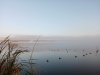 IMG_20201003_080857.jpg