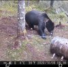 Screenshot_20201011-131727_Video Player.jpg