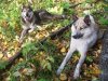 100_3091.JPG