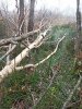 IMG_20201011_150732.jpg