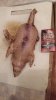 IMG-20201016-WA0004.jpeg