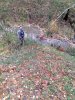 IMG-20201004-WA0015.jpg