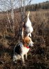 20201021_131908.jpg