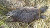 20201020_135702.jpg