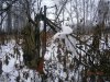 PA310406.JPG
