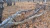 WP_20201031_12_49_44_Rich_LI.jpg