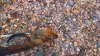 WP_20201031_12_49_29_Rich_LI.jpg