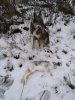 IMG_20201031_084945.jpg