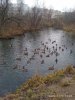 IMG_20201102_112611.jpg