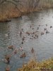 IMG_20201102_112629.jpg