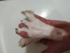 IMG_20201101_160112.jpg
