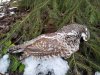IMG_20201107_162053.jpg