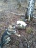 IMG_20201107_101252.jpg