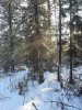 20201108_110339.jpg