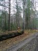 IMG_20201020_151732.jpg