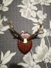 IMG_20201115_193231.jpg