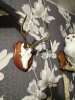 IMG_20201115_193153.jpg