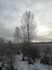 IMG_20201116_100505.jpg
