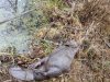 IMG_20201017_093752.jpg