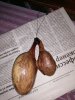 IMG_20201116_211957.jpg