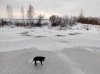 IMG_20201115_154235.jpg
