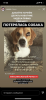 B632D56D-9D28-4374-A040-AF6C22B2EF3E.png