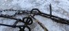 IMG_20201121_150010.jpg
