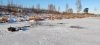 IMG_20201121_140230.jpg