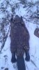 20201123_103325.jpg