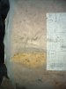 IMG-20201124-WA0007.jpg