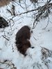 IMG_20201124_152013.jpg