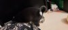 20201123_201155.jpg