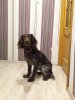 IMG_20201127_074525.jpg