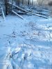 IMG_20201128_130630.jpg