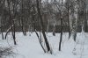 IMG_2306.JPG