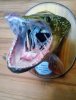 IMG_20201203_123131_750.jpg