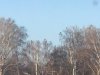 A81B3339-AC46-4A8C-876A-0BF80D285B9C.jpeg