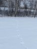 3089956B-C4BD-4D93-B3FB-DBBBD5B7DB64.jpeg