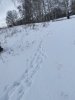 A11C3B6F-2039-4A75-883B-26CAA04BCD7F.jpeg