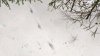 IMG_20210123_171912vf4000.jpeg