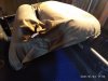 IMG_20210124_171844.jpg