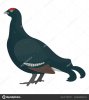 depositphotos_206228120-stock-illustration-green-bird-long-heavy-feathers.jpg