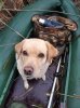 IMG_20201010_083613.jpg