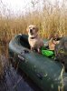 IMG_20201004_103234.jpg