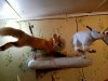 IMG-20210209-WA0014.jpg