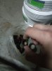 IMG_20210203_185746.jpg