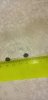 IMG-20210223-WA0037.jpeg