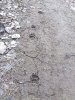 DSC_6897.jpg