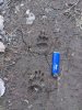 DSC_6898.jpg
