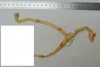DSCN0039.jpg